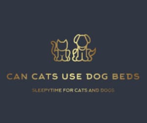 Sleepytime for Cats and Dogs Should be Comfortable and Stylish!
