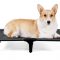 Do You Have HACHIKITTY Elevated Dog Bed?