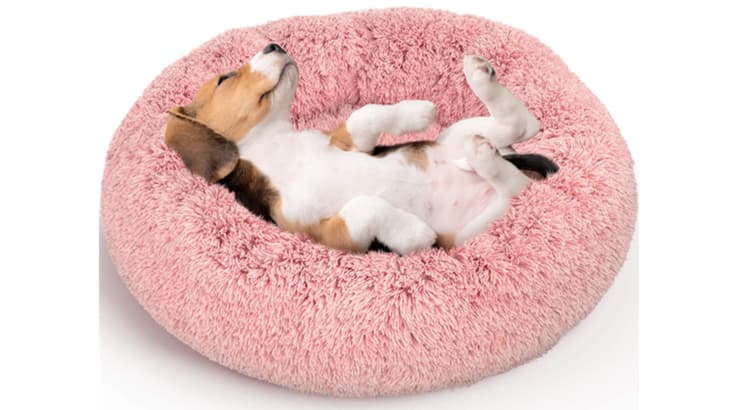 What Makes Active Pets Anti Anxiety Dog Bed(B08G1F5CSV)Best Bed For Your Dog?