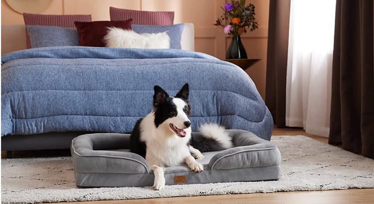 What is the Comfiest Pet Bed You Can Buy Today? Bedsure Orthopedic Convoluted Foam Dog Bed Review