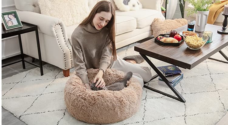 Why Is BedSure Calming Dog Bed The Perfect Choice For Your Pet?