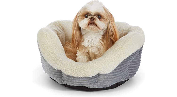 Why Amazon Basics Warming Pet Bed(DF2018203S) Is An Ultimate Choice For Pet Owners?